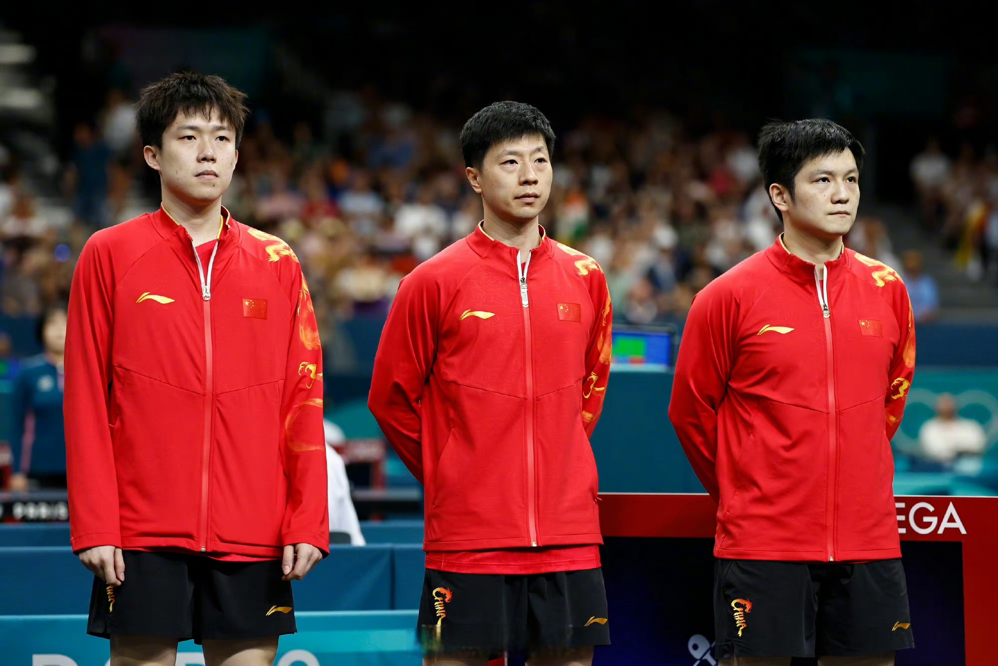 包含法国乒乓球队横扫德国乒乓球队，樊振东送出助攻的词条