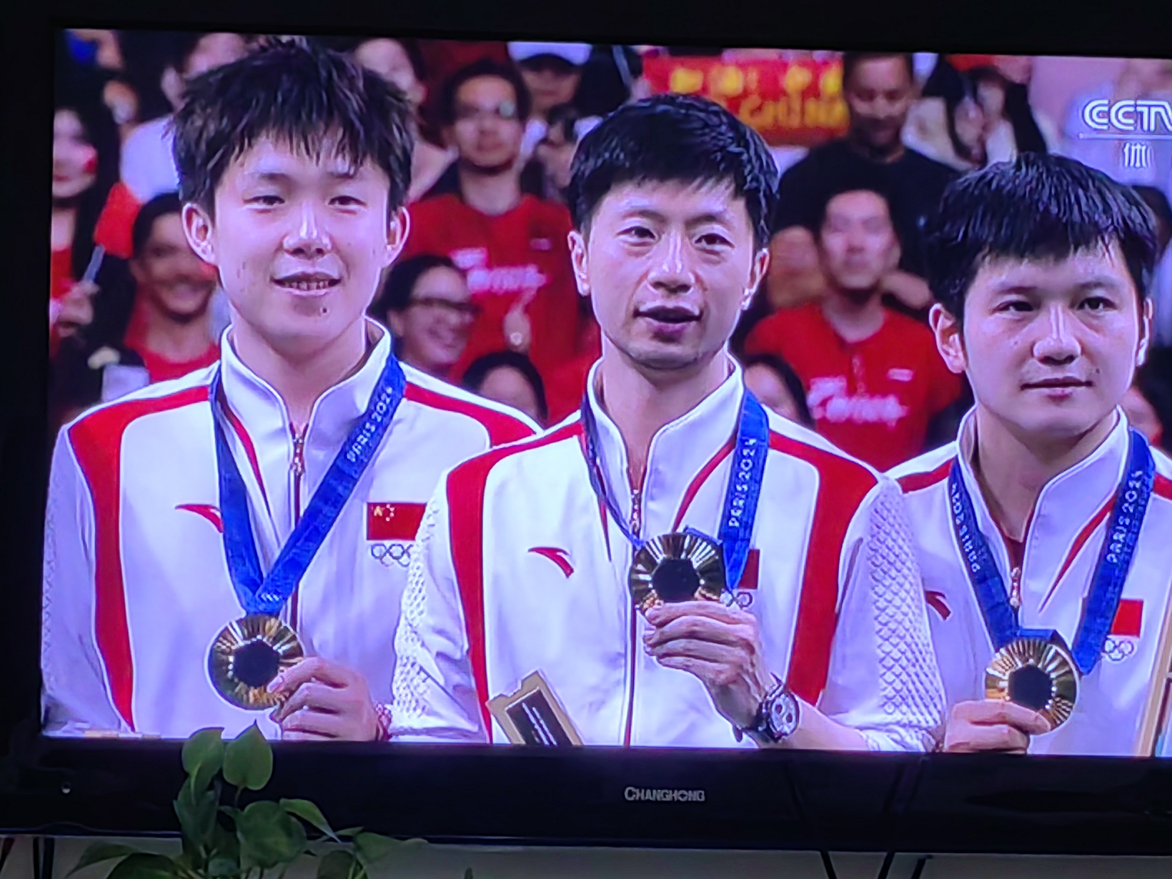 中国队完胜日本队,樊振东带队取胜 中国队完胜日本队,樊振东带队取胜