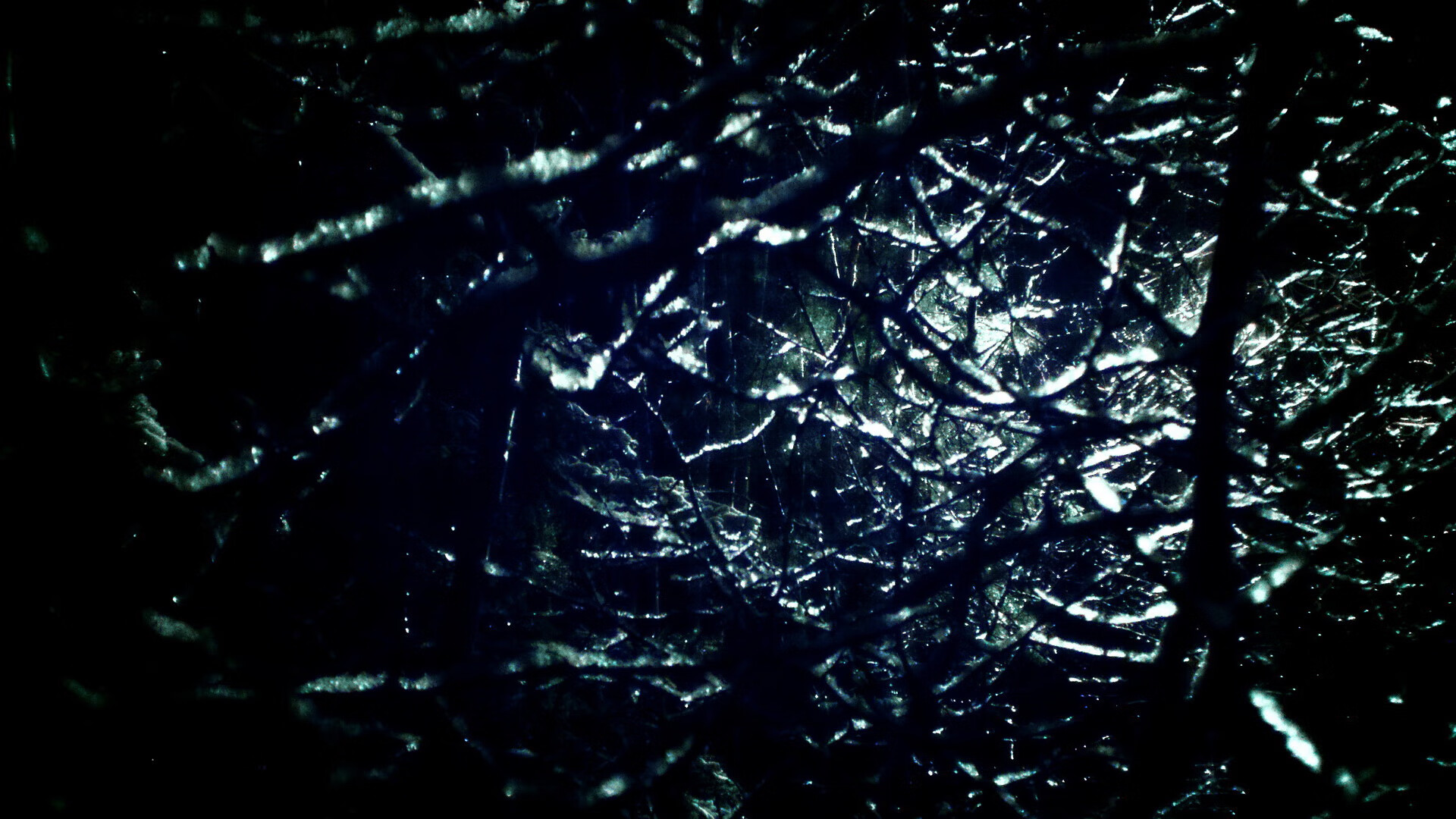 唯一性胜利，哈斯车队的逆袭与阿隆索的统治