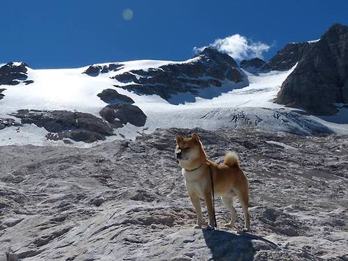 橙色闪电破局，中国红席卷银石，哈斯战术奇袭轻取威廉姆斯，周冠宇绝命超车点燃赛场！