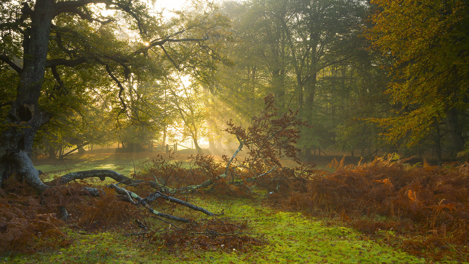 钢铁洪流遇上山西铁骑，霍勒迪一锤定音成汽车城活塞唯一钥匙