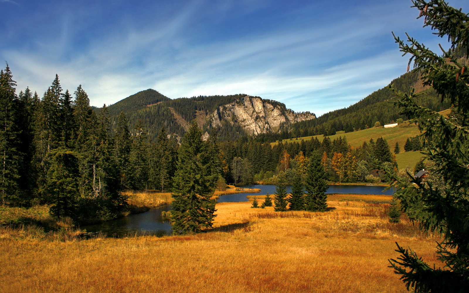 欧冠半决赛之夜,众星皆醉我独醒,霍勒迪全场最佳无争议