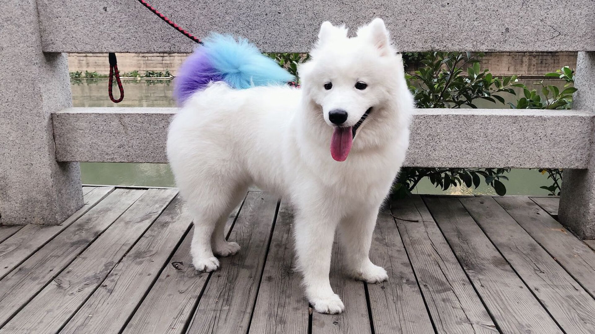 跨越时空的决胜者,从哈弗茨的绿茵传奇到新西兰的冠军意志