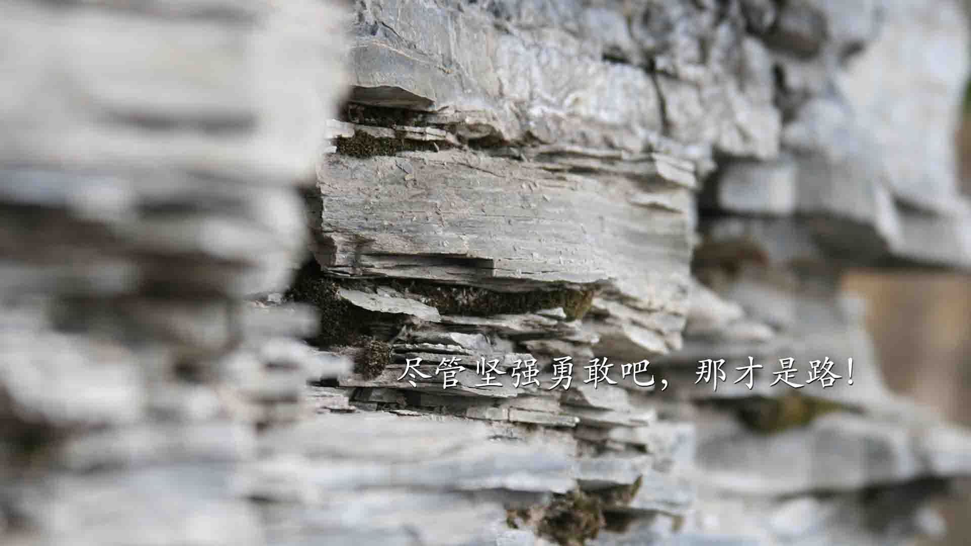 雷霆军团鏖战北境守卫，哈利伯顿终成关键先生