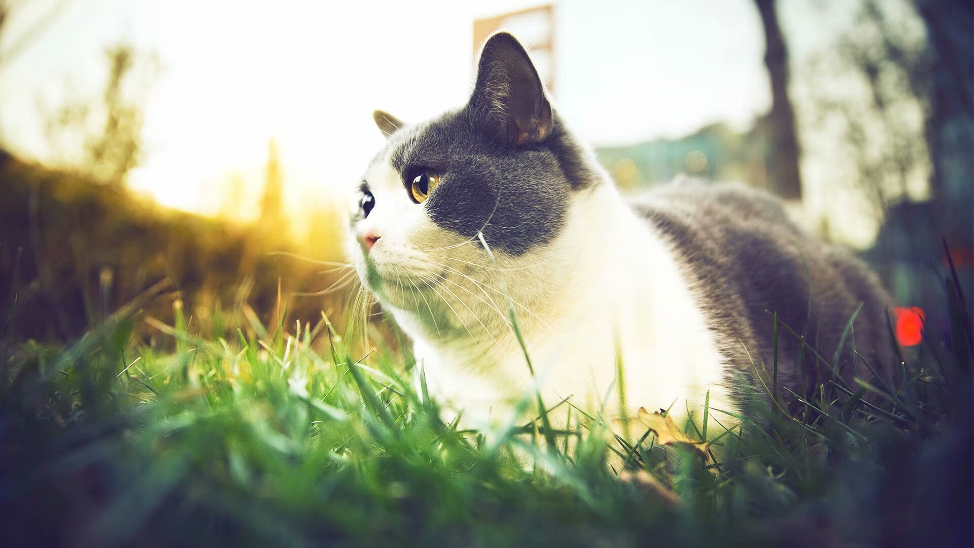 太原魔咒终结!欧文49分钟苦战砍40+成猛龙客胜山西关键先生