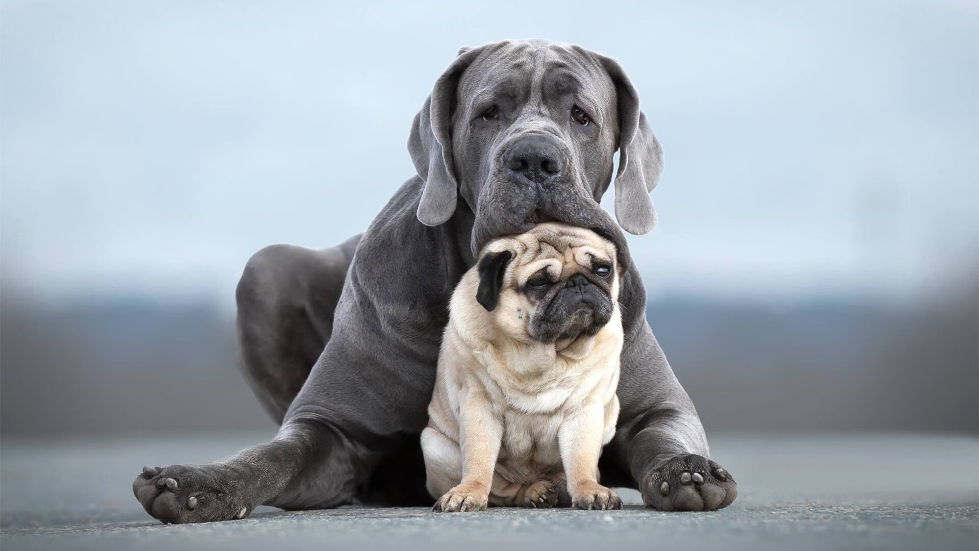 缺席的得分手，奥运关键战前夜，伦纳德用无声的方式完成里程碑