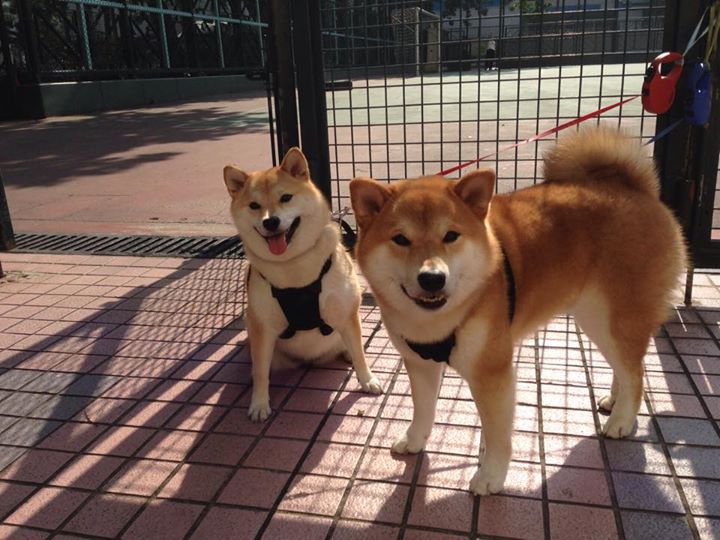 不眠夜分叉，当迈阿密凌晨四点的范弗利特，朝洛杉矶夕阳开了一枪