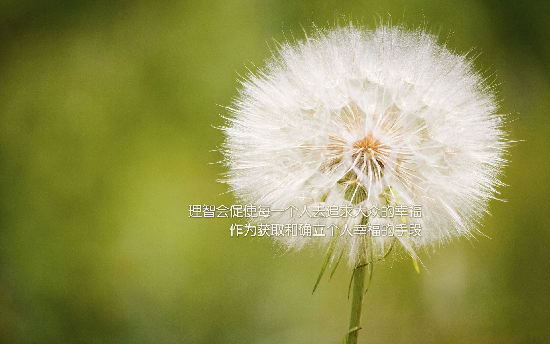 淬火一击，阿尔瓦雷斯三秒改写法甲格局，摩纳哥终结马赛霸权幻梦