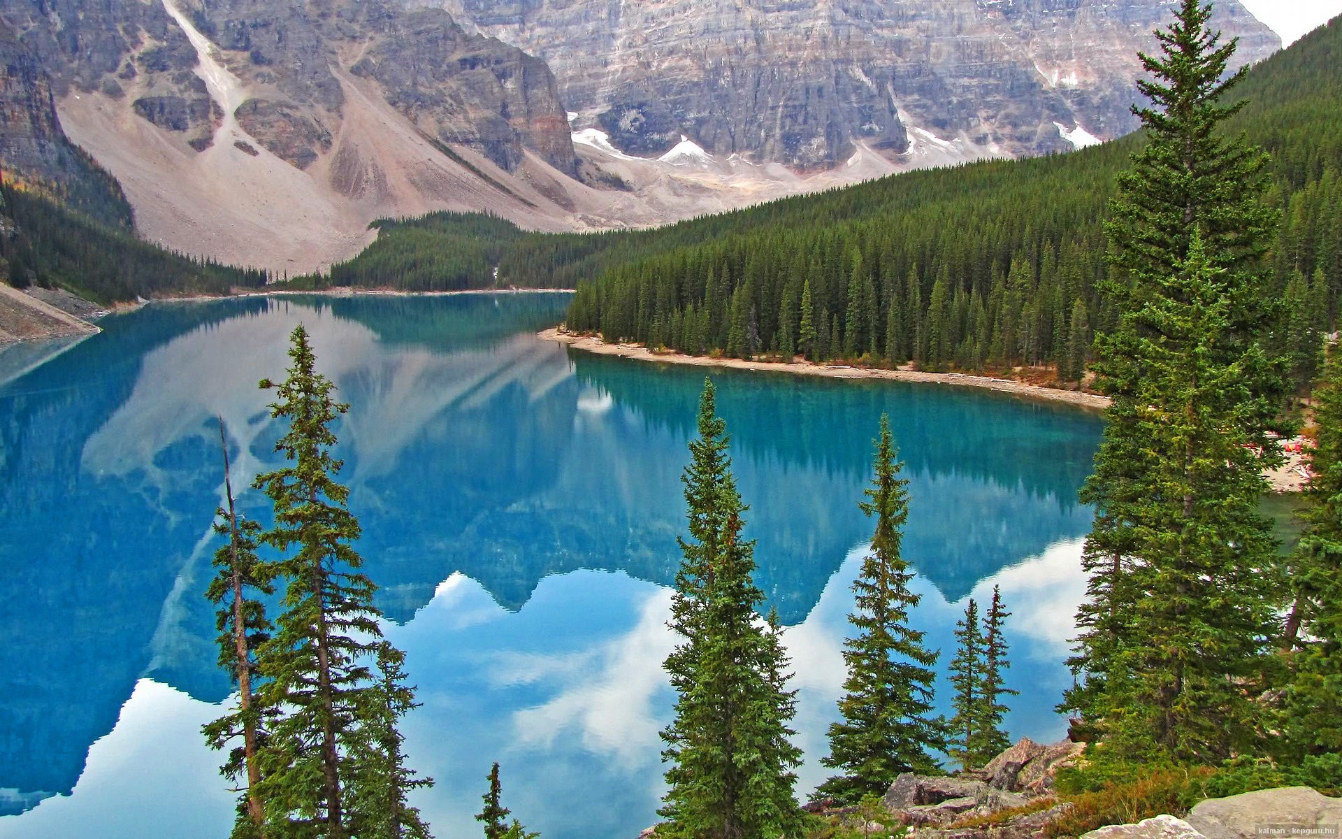 篮球之夜的双重奇迹，开拓者逆袭黄蜂，克莱欧冠淘汰赛主宰战场