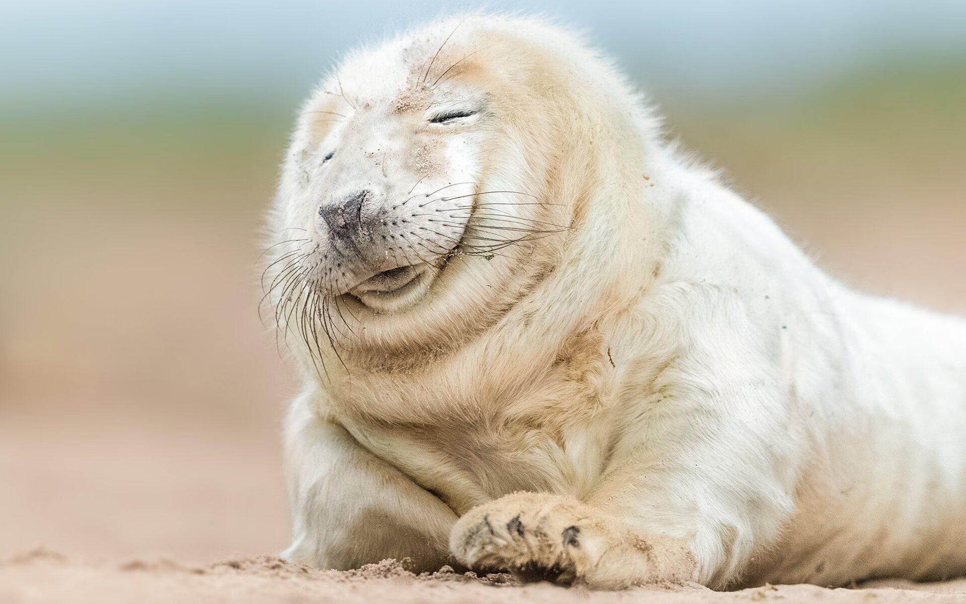 东方城墙 vs 费城天赋，爱德华兹冠军级表现如何被北京队强行终结