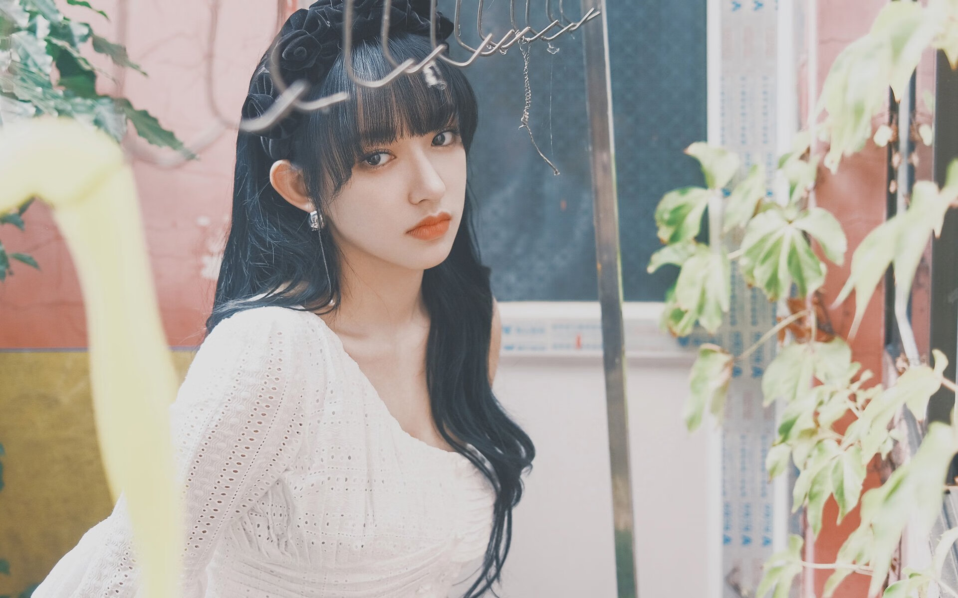 未寄出的剧本,当福克斯为时间按下暂停键