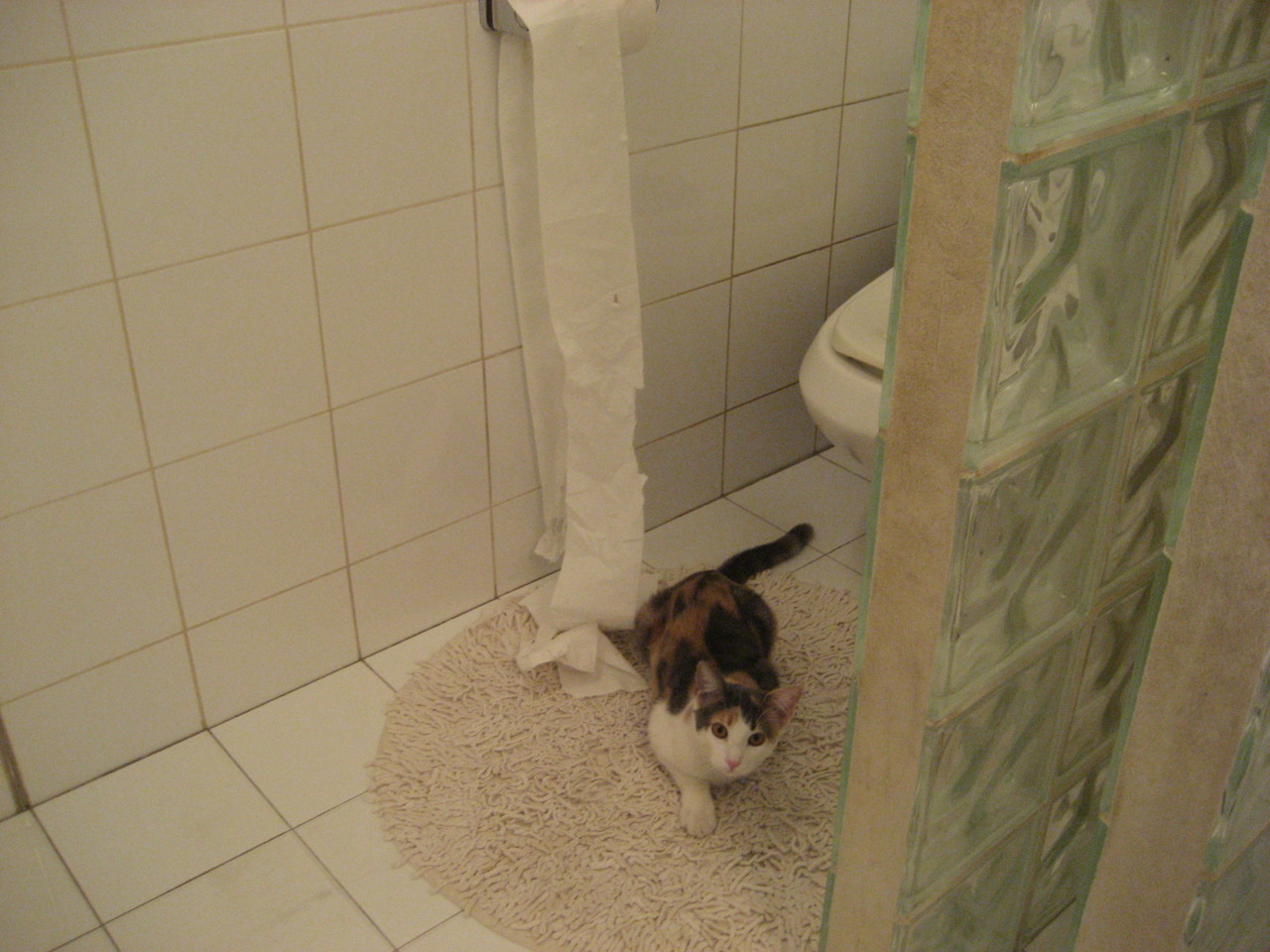 深圳爆冷胜尼克斯，伦纳德化身篮球特区效率代言人