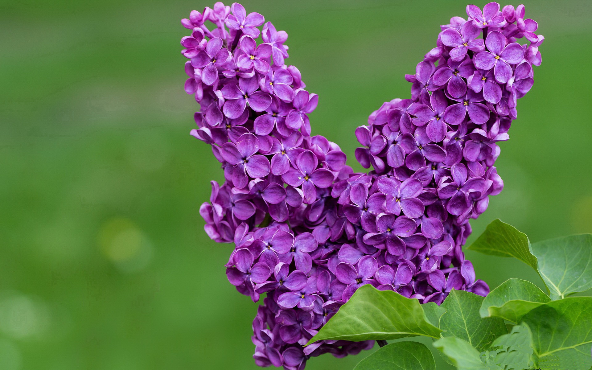 时间的两个象限，当太阳带走公牛，哈登于西决生死战接管比赛