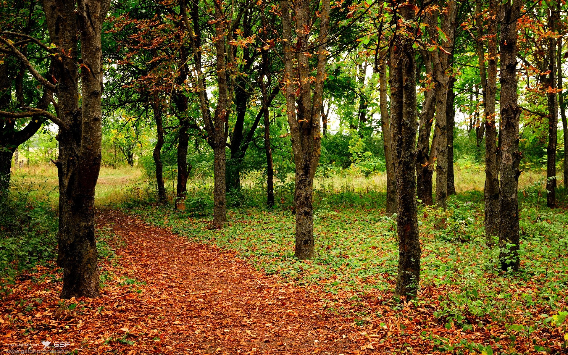 当东方雄狮遭遇高原铁壁，杜兰特在平行宇宙的篮球炼金术
