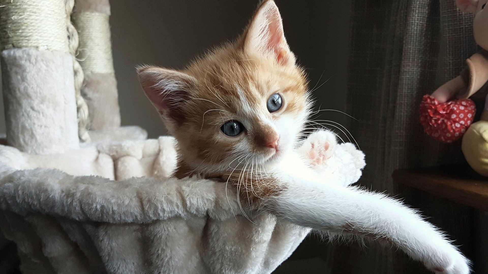 引擎全开与窒息攻防，当F1超车哲学降临篮球场