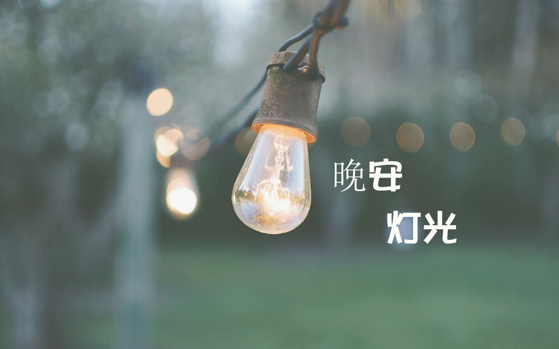 绝地重生，2026世界杯D组关键战，厄瓜多尔逆袭罗马尼亚，萨内用灵魂带队取胜