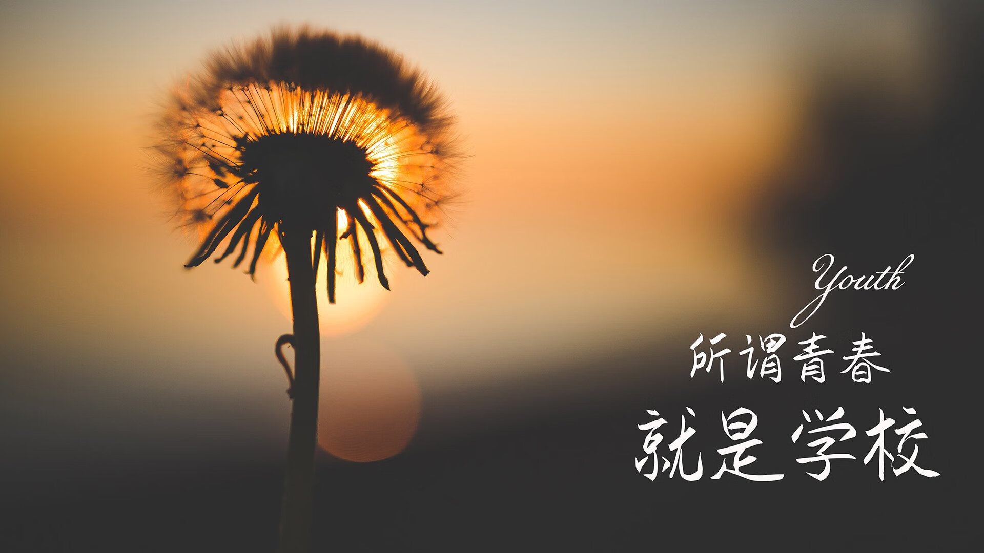 节奏掌控者，2026世界杯D组巅峰对决，荷兰智取葡萄牙，德布劳内铸就唯一经典